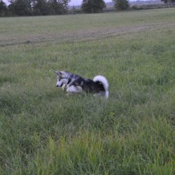 20160909-194916-087-N