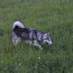 20160909-194941-094-N