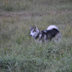 20161007-182359-100-N