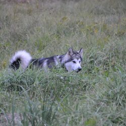 20161007-182406-104-N