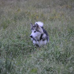 20161007-182408-105-N