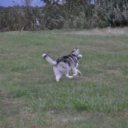 20161007-183032-111-N