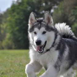 20161008-153558-176-N