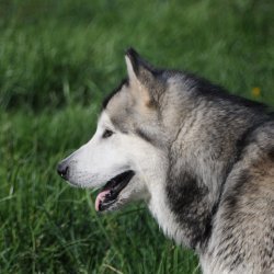 20170418-162216-066-M