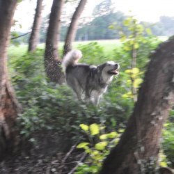 20170623-202642-116-N