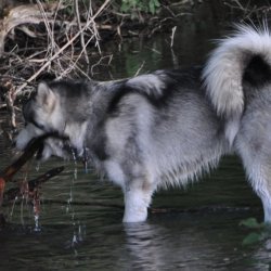 20170623-202815-136-N