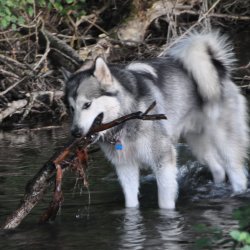 20170623-202823-137-N