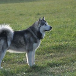 20170903-175446-001-N