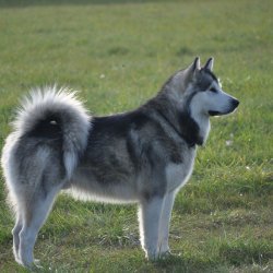 20170903-175449-002-N