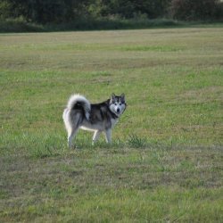 20170903-175557-004-N