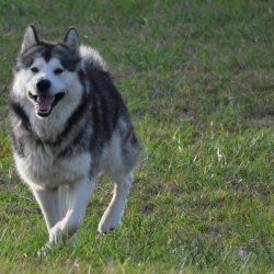 20170903-175614-005-N