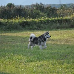 20170903-175738-006-N