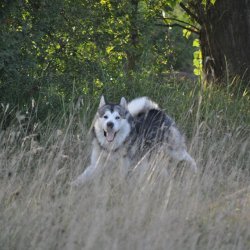 20170903-175842-007-N