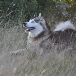 20170903-175843-008-N