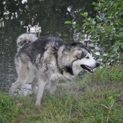 20170903-180549-009-N