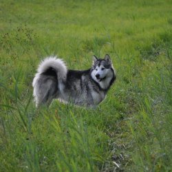 20170903-180731-010-N