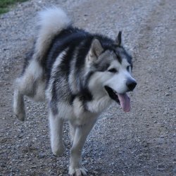 20170903-181608-011-N