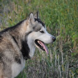 20170903-182257-013-N