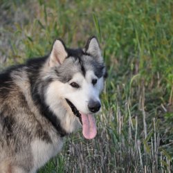 20170903-182257-014-N