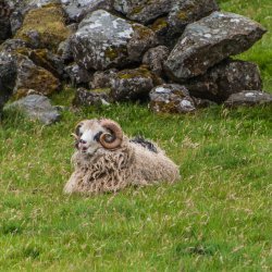 20180803-143601-0509-N