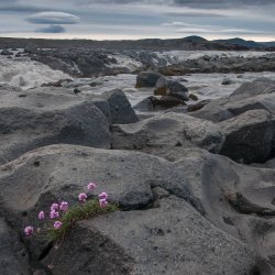 20180630-164343-0654-N