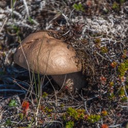 20180701-151343-0912-N