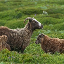 20180702-181913-0178-N-Modifier