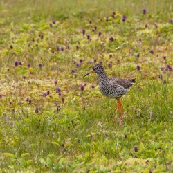 20180705-173818-0458-N