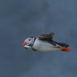 20180709-164317-0010-N