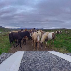 20180713-163652-0480