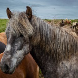 20180713-164815-0526-NX