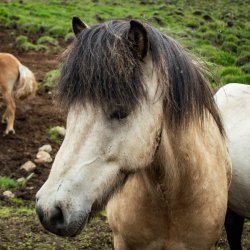 20180713-164851-0527-NX