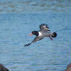 20180717-121004-0299-N