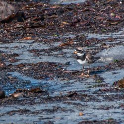 20180717-123358-0356-N-Modifier