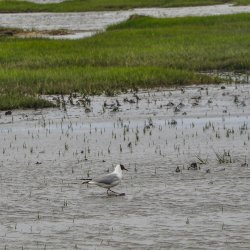 20180623-090601-0026-N