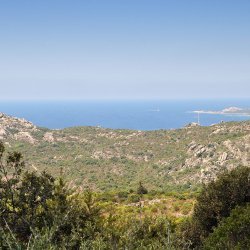 20150722-113658-194-N