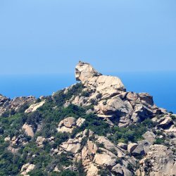 20150722-113739-196-N