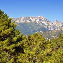 20150727-100320-357-N