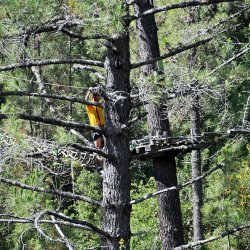 20150727-100538-363-N