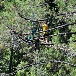 20150727-100623-366-N