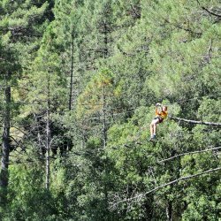 20150727-101127-384-N