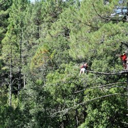 20150727-101251-385-N