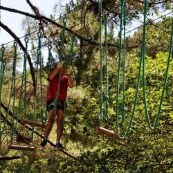 20150727-110257-411-N