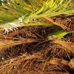 20150817-103136-493-N