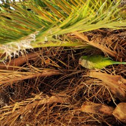 20150817-103137-494-N