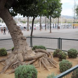 20150817-143539-526-N