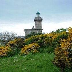 20150508-105830-014-N