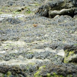 20150508-161325-035-N