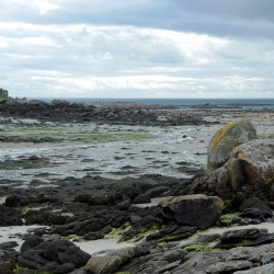 20150508-165503-048-N