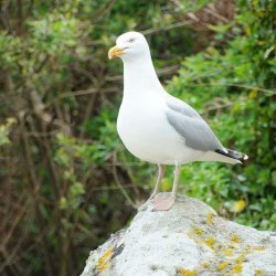 20150508-170722-052-N